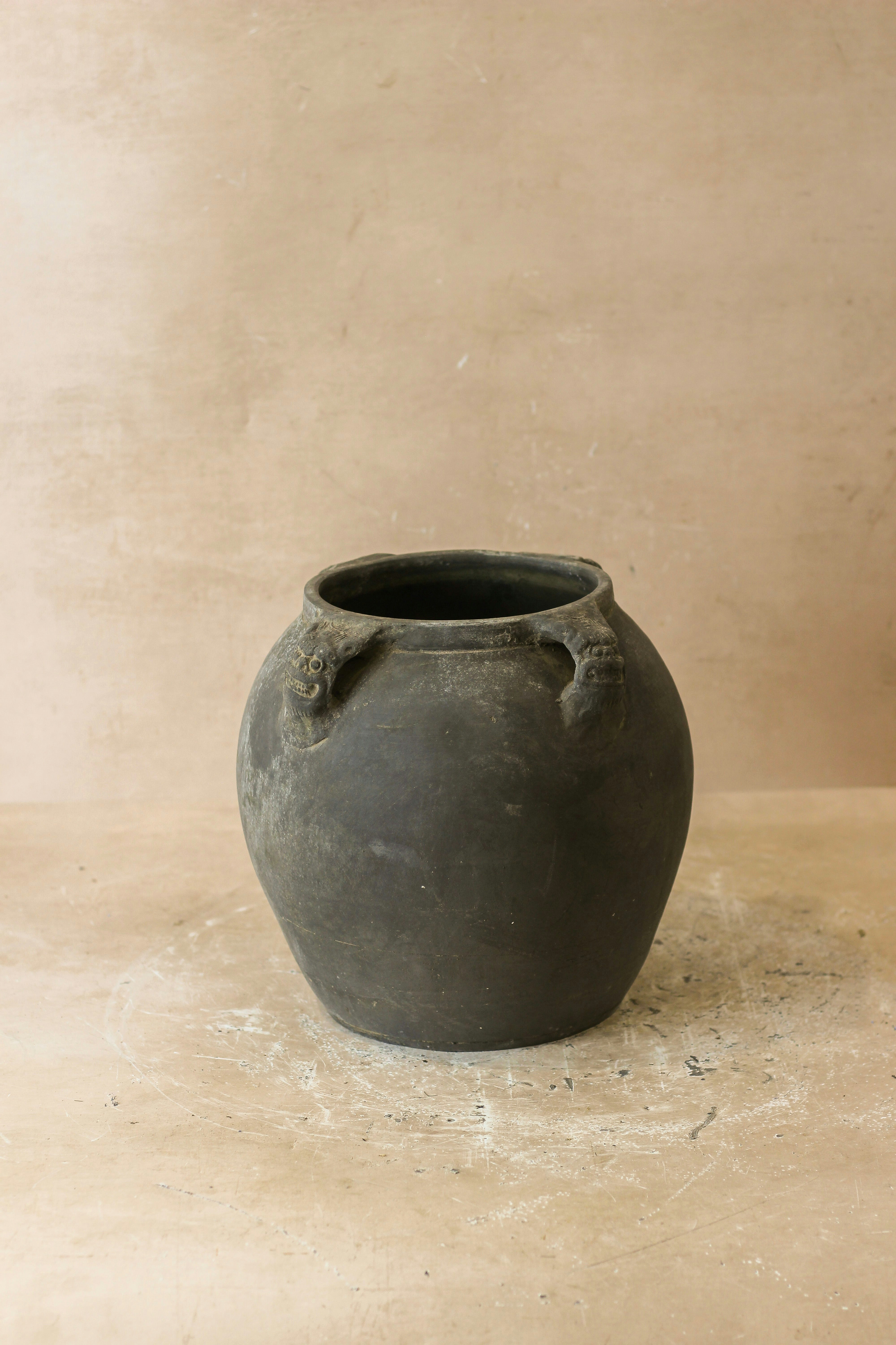 Vintage Lion Ears Dark Pot - De4.8 by Botanical Boys