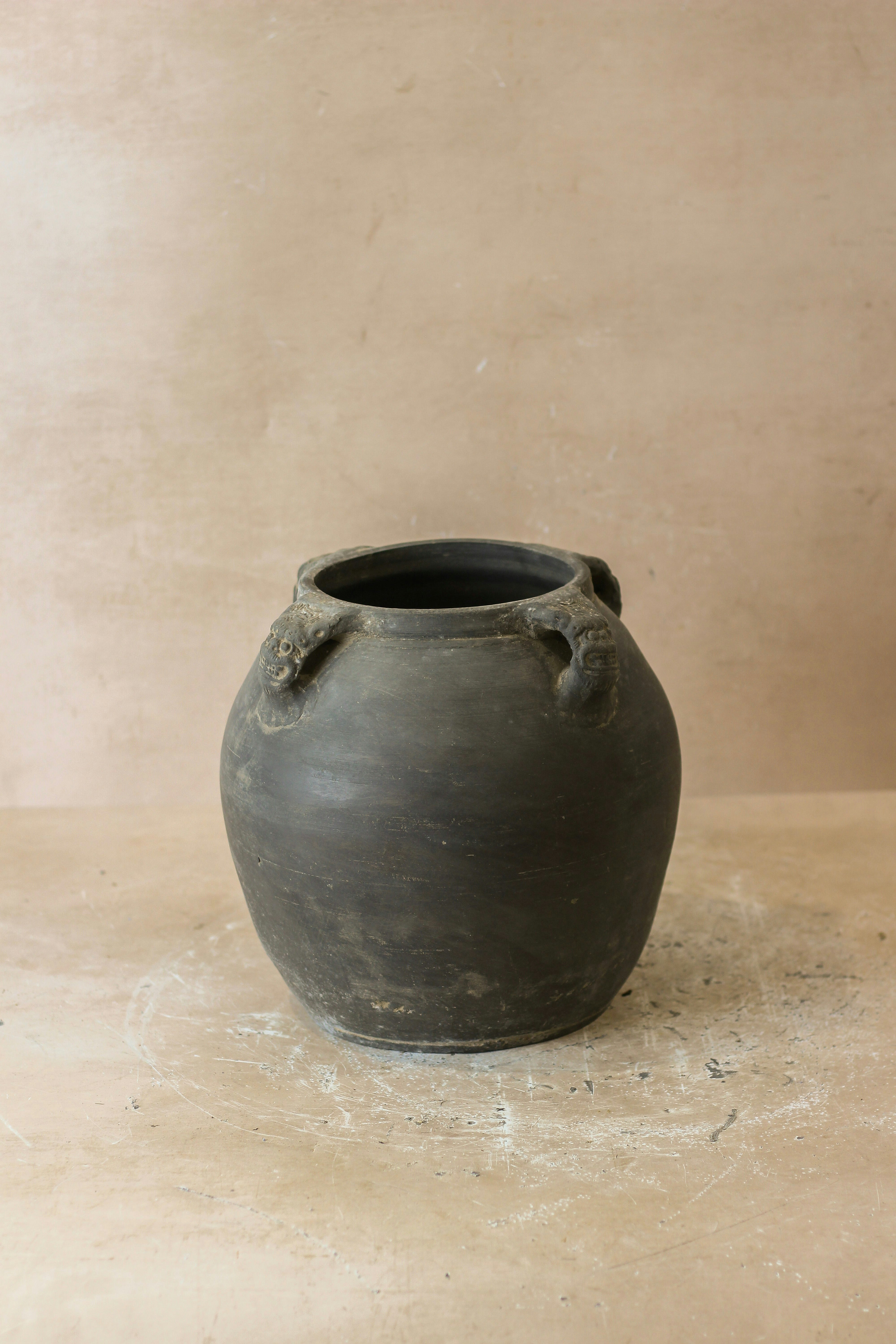 Vintage Lion Ears Dark Pot - De4.10 by Botanical Boys