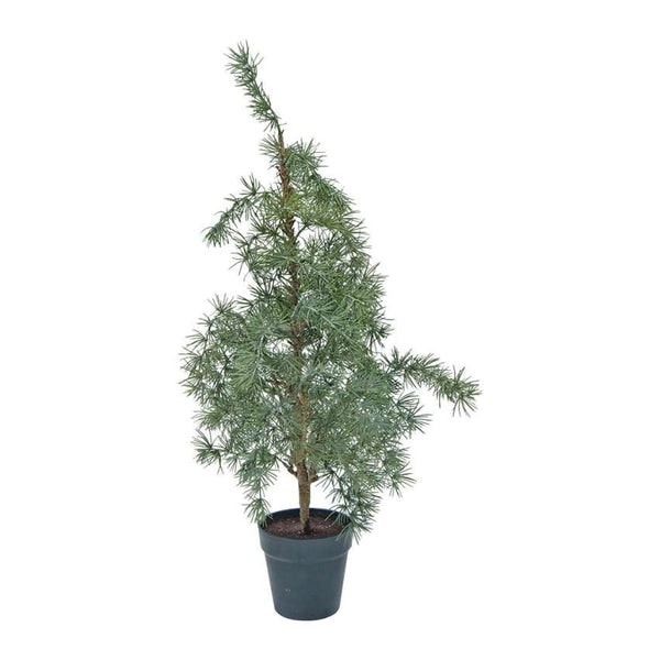 Faux Fir Tree With Lights by Cote Table