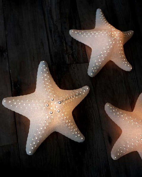 Starfish Lamp by Cote Table