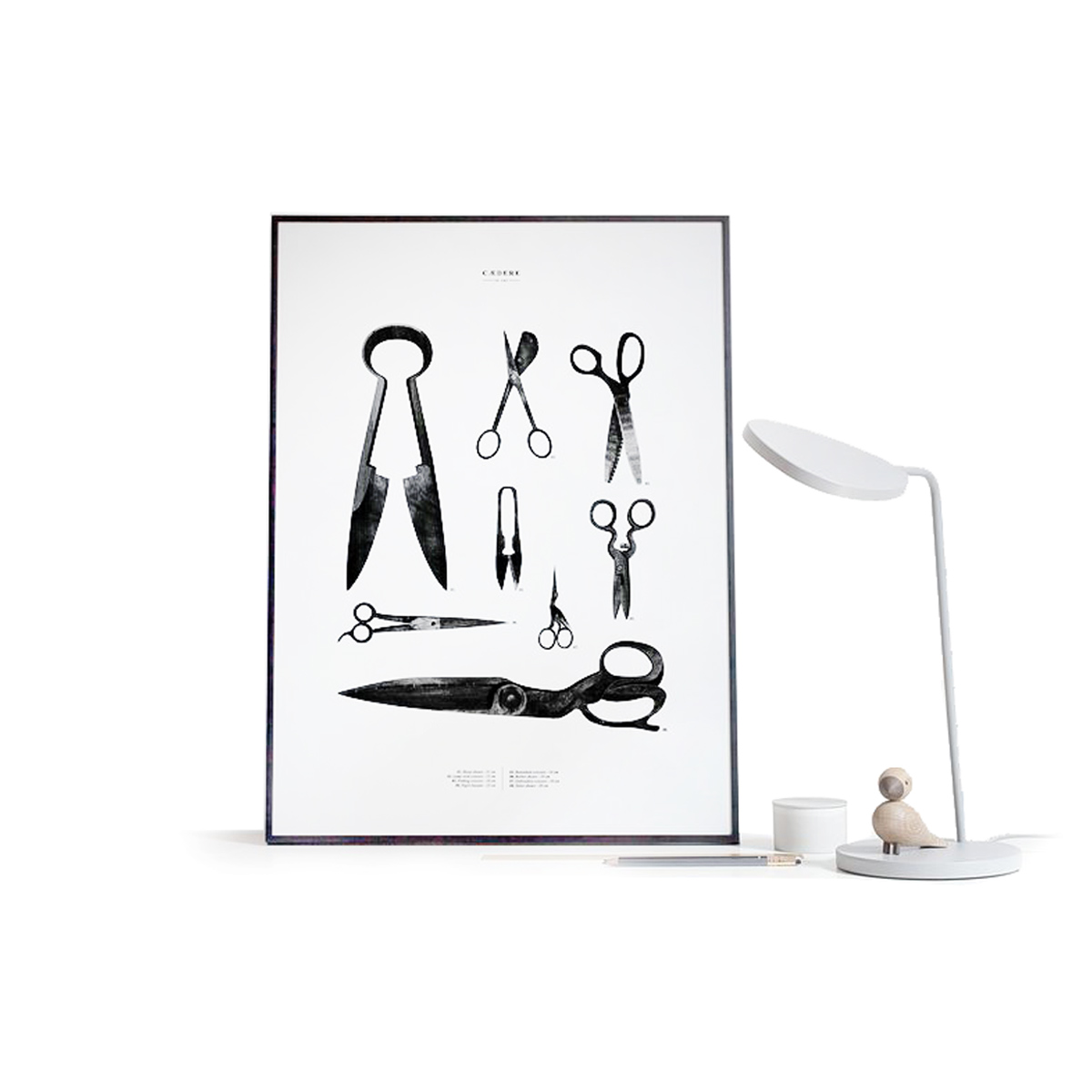 Cocolapine - Antique Scissors Poster, 50x70 Cædere - White/white - White | Black And White | Paper