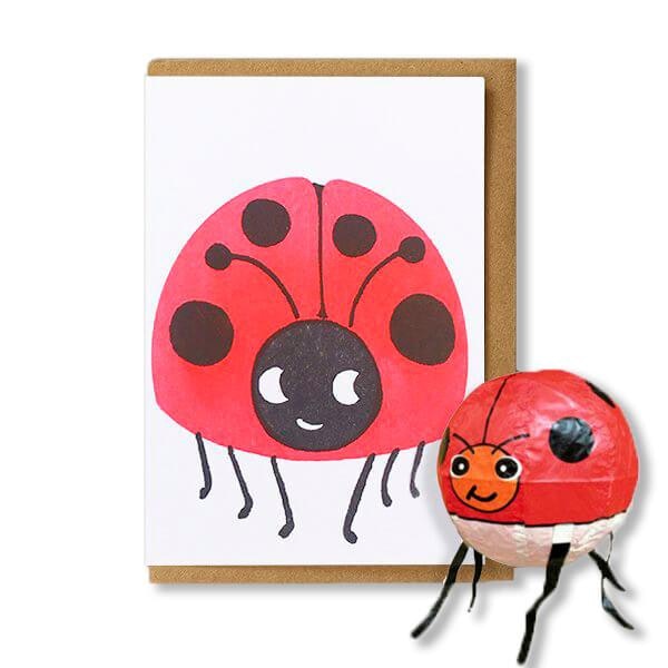 Ladybird Japanese Paper Balloon Card by Petra Boase