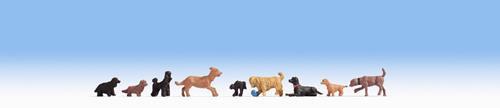Botanical Boys - Dogs B Figures