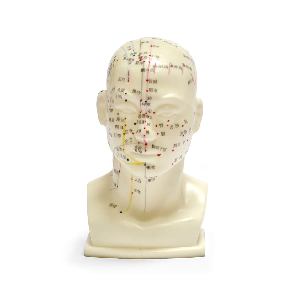 Fantastik - Chinese Acupuncture Head
