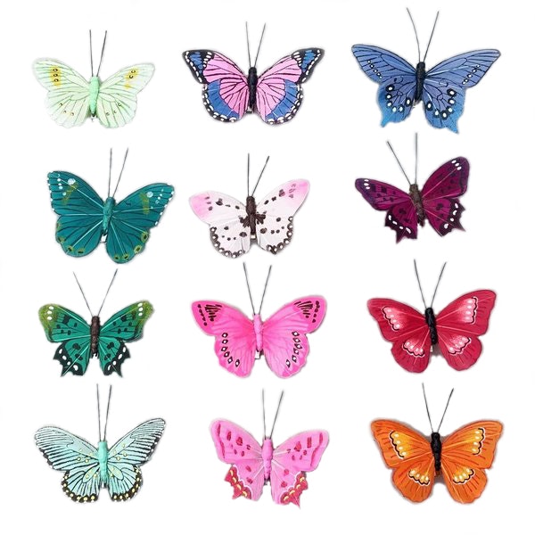 Gift Box of Six Butterfly Clips by Petra Boase