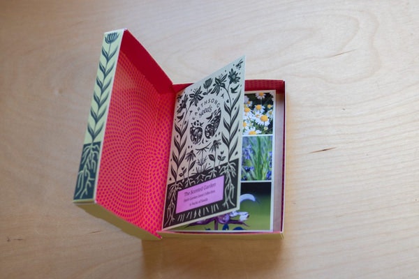 The Scented Garden Seed Pack by Earthsong seeds
