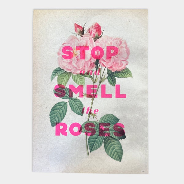 Large Roses by Basil and Ford