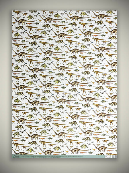 Museums & Galleries - Dinosaurs' Wrapper - 50x70 Cm