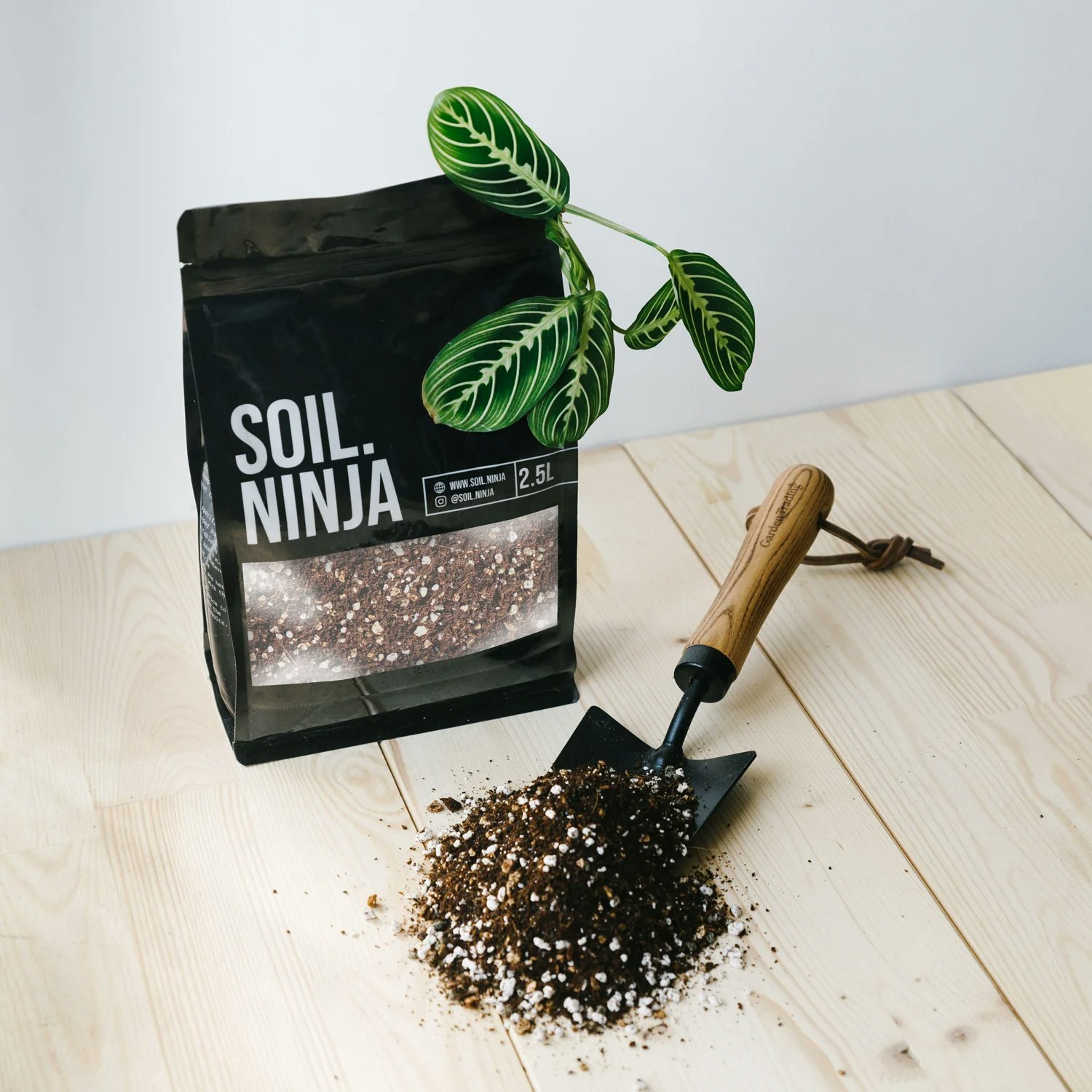 2.5L Premium Calathea and Maranta Soil Mix by Soil Ninja