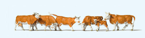 Botanical Boys - Brown And White Cows Terrarium Figues 10146