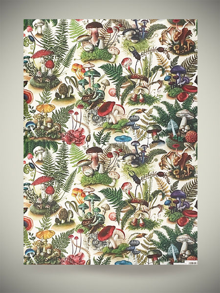 Bomo Art Budapest Kft - Papel Envoltorio 'Magical World Of Fungi' - 100x70 Cm