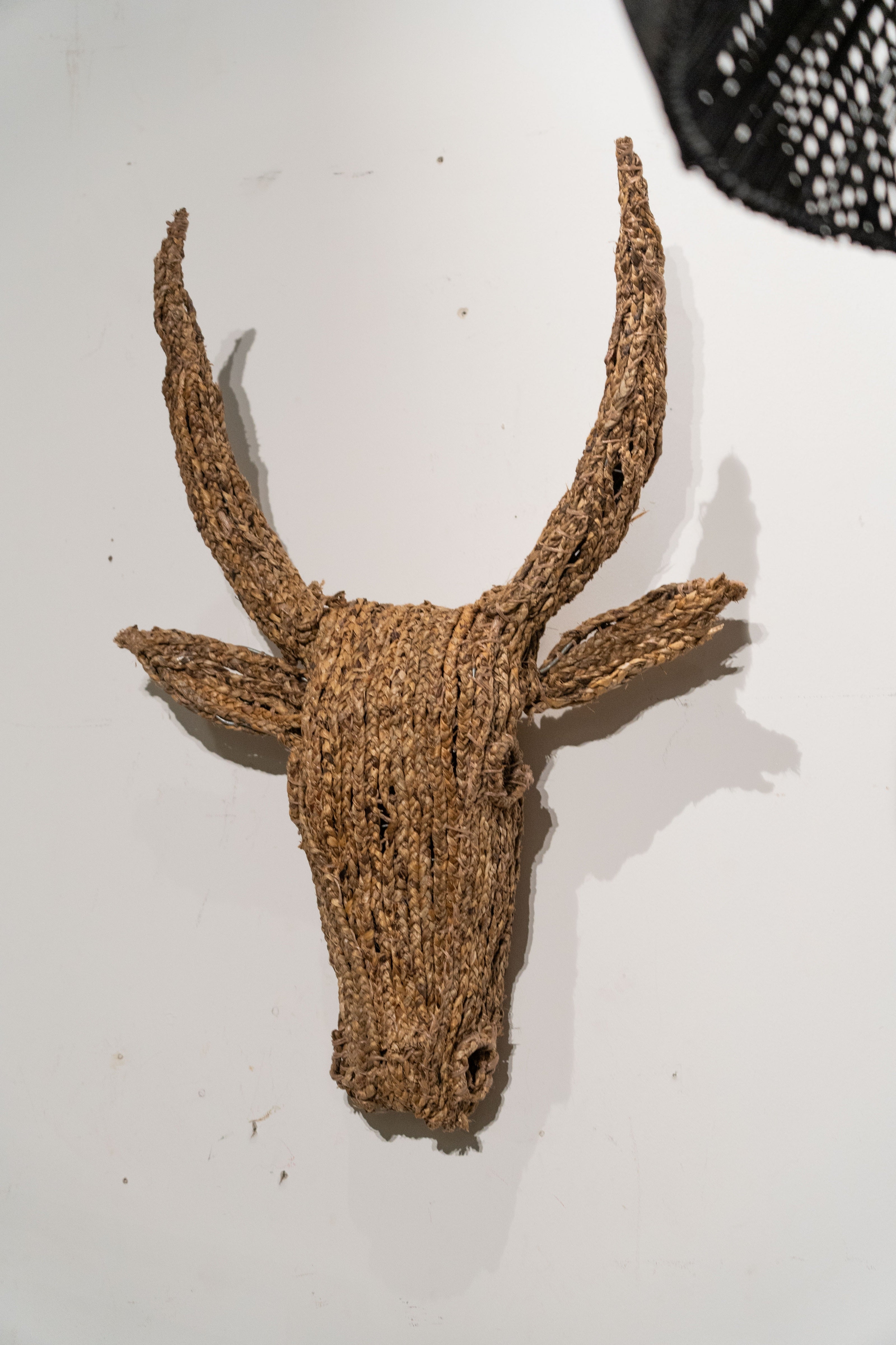 Botanical Boys - Bull Jude Wall Sculpture