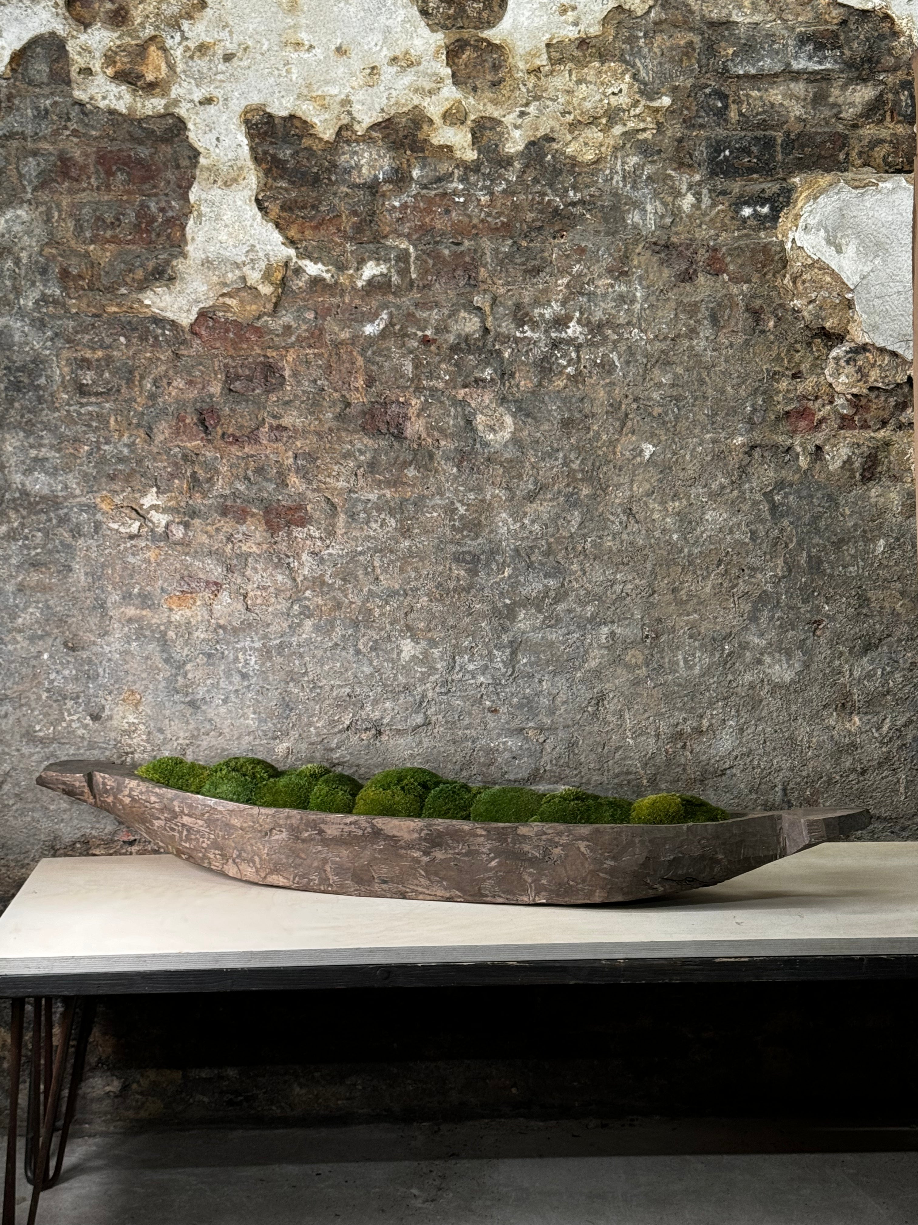 12 - Mokoro Canoe With Preserved Moss Table Display Fr57