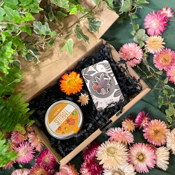 Axolotl / Hedgehog Mix The Flower Lover Mini Gift Set - Wooden Pin And Wildflower Seeds by Sprouts of Bristol