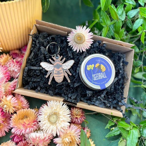 Oleander Hawk-Moth / Hedgehog Mix The Nature Lover Mini Gift Set - Wooden Keyring And Wildflower Seeds by Sprouts of Bristol