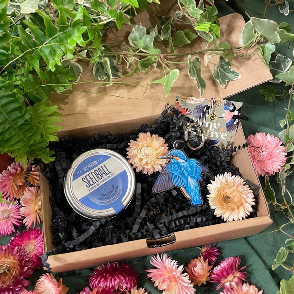 Swallowtail Butterfly / Great Yellow Bumblebee Mix The Nature Lover Mini Gift Set - Keyring And Wildflower Seeds by Sprouts of Bristol