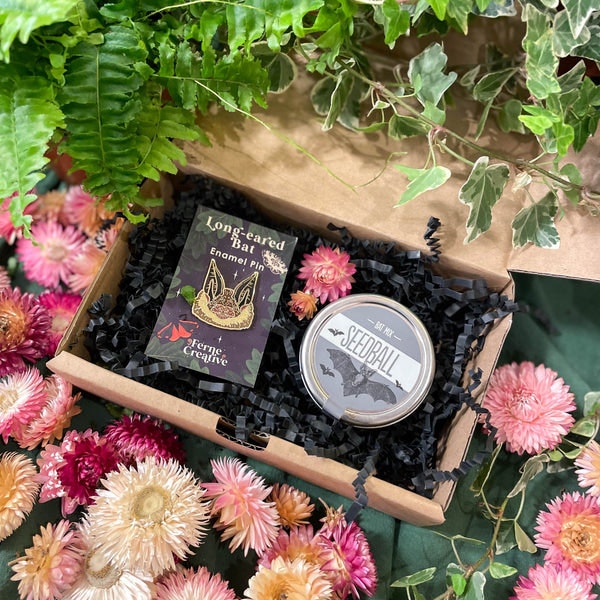 Kingfisher / Short-Haired Bumblebee Mix The Nature Lover Mini Gift Set - Enamel Pin And Wildflower Seeds by Sprouts of Bristol